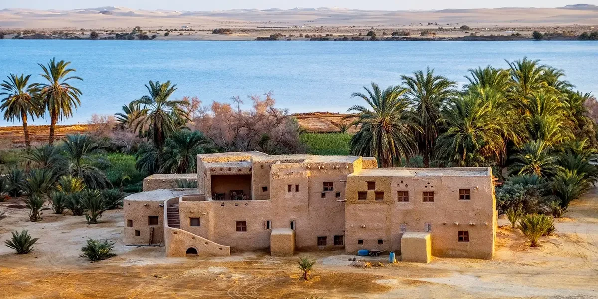 Siwa Oasis Egypt with golden desert dunes, palm trees, and salt lakes