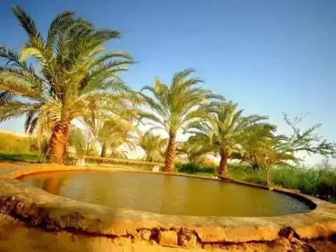 Explore White Desert during tour from Hurghada